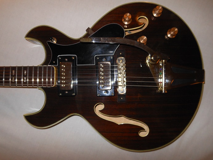HollowBodyRosewood Picture 8